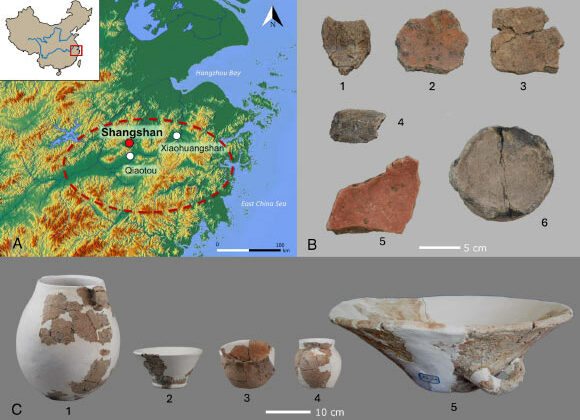 Des traces de bières de riz datées de plus de 10000 ans ont été retrouvées en Chine