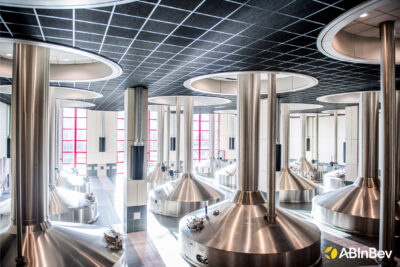 AB InBev investit en Belgique et s'offre la Ligue des Champions