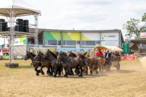 Lupulus, des Tchets et Minne interdits de Foire