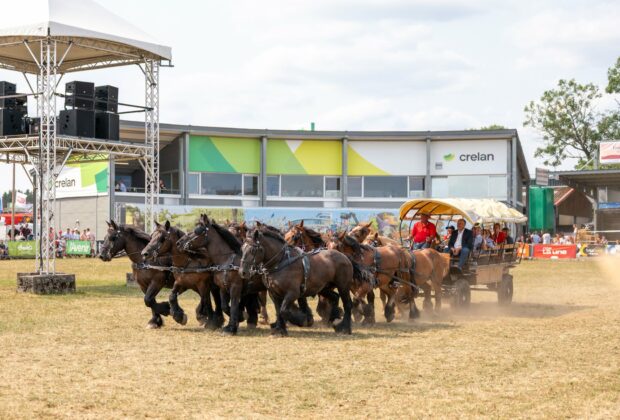Lupulus, des Tchets et Minne interdits de Foire