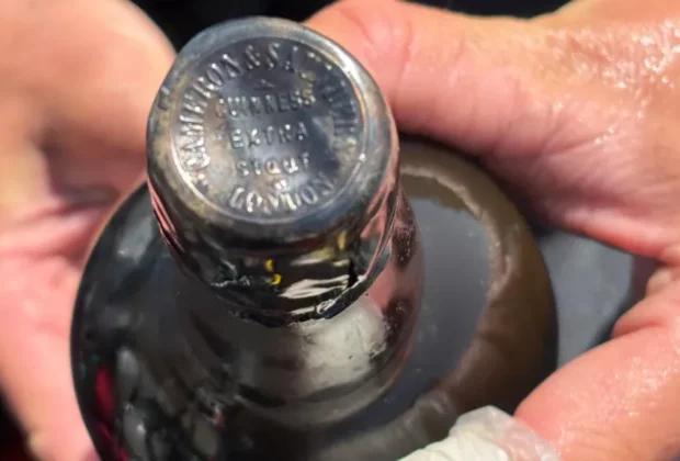 Un plongeur retrouve une bouteille de Guinness vieille de 162 ans